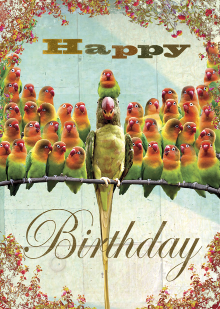 Happy Birthday Parrots Greeting Card by Max Hernn - Click Image to Close